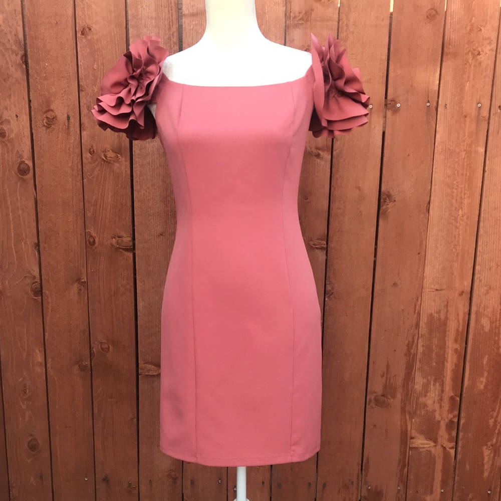 She and Sky Rose Dress Size S